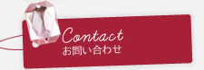 Contact ₢킹
